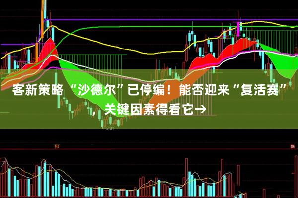 客新策略 “沙德尔”已停编！能否迎来“复活赛”，关键因素得看它→